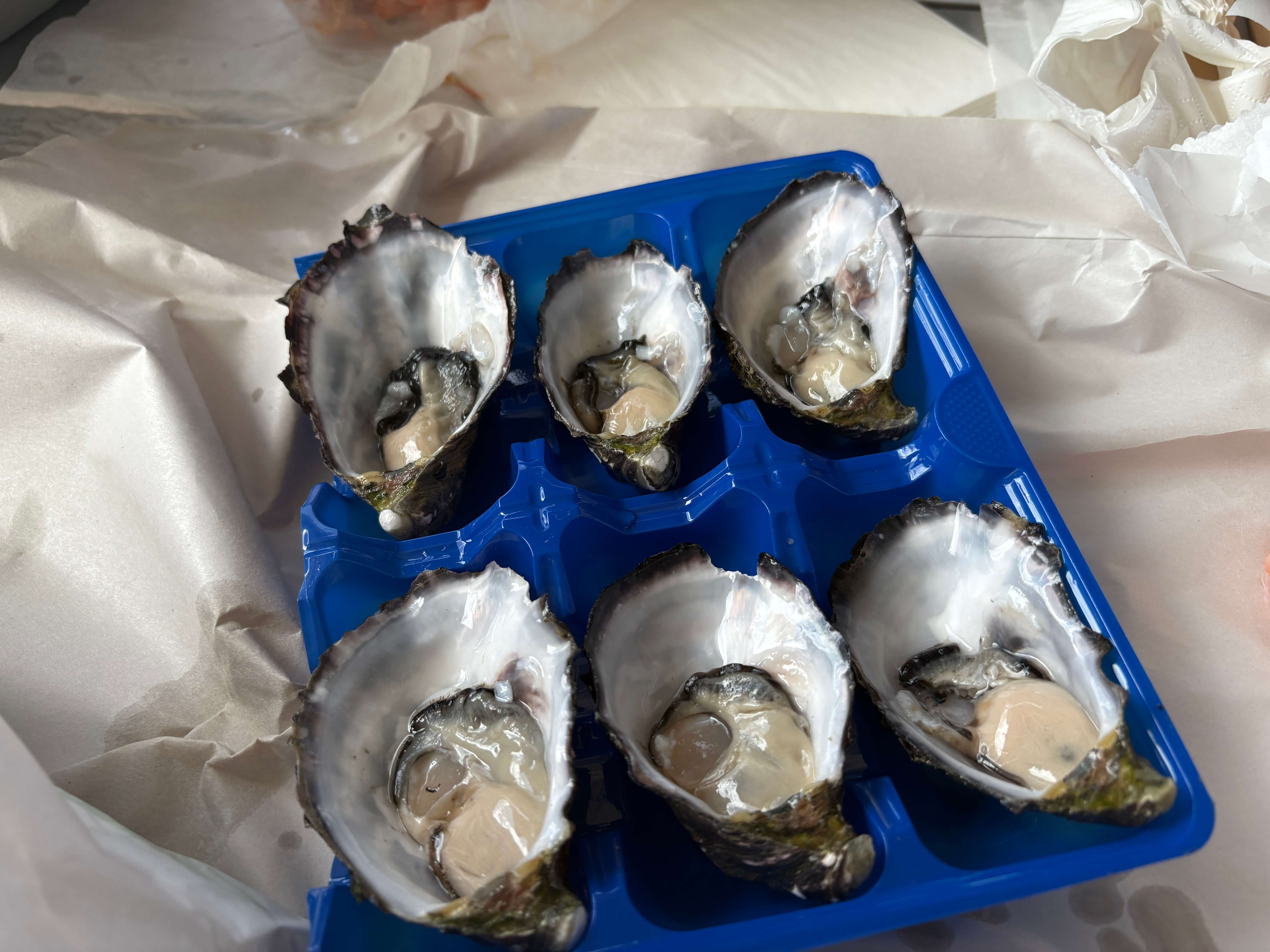 moolloobabba fish market