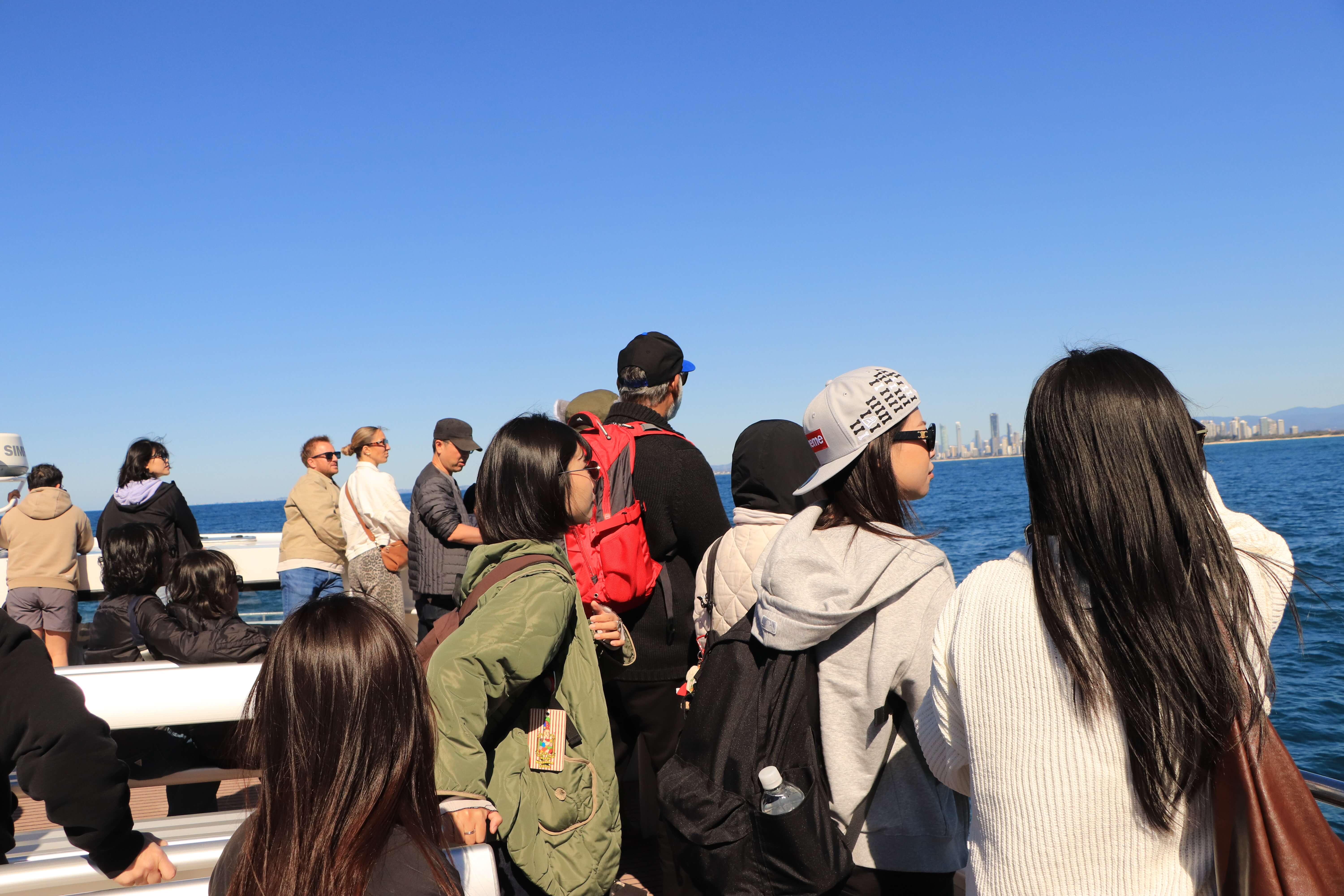 whale watching boat