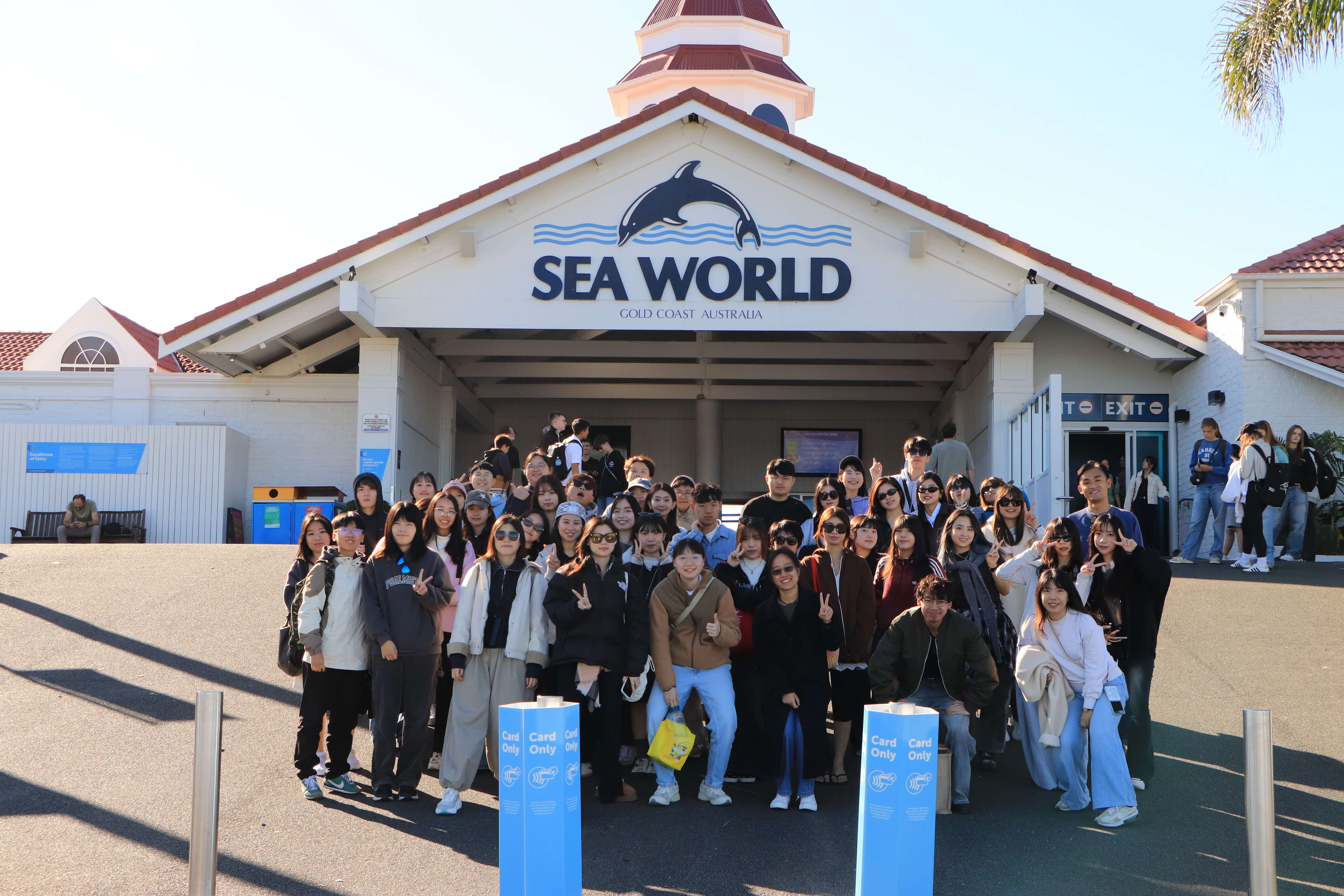 Sea world whale watching